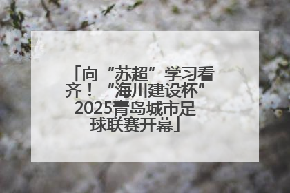 向“苏超”学习看齐！“海川建设杯”2025青岛城市足球联赛开幕
