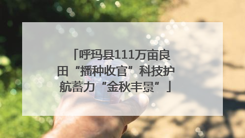 呼玛县111万亩良田“播种收官”科技护航蓄力“金秋丰景”
