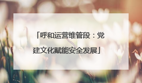 呼和运营维管段：党建文化赋能安全发展