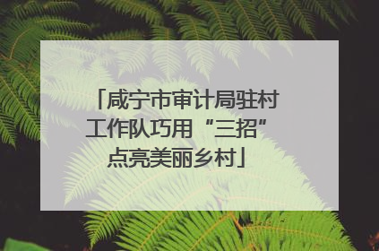 咸宁市审计局驻村工作队巧用“三招”点亮美丽乡村