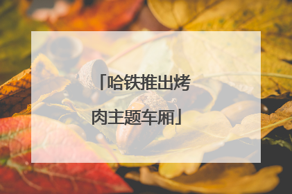 哈铁推出烤肉主题车厢