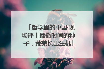 哲学里的中国·现场评丨播撒时间的种子，荒芜长出生机