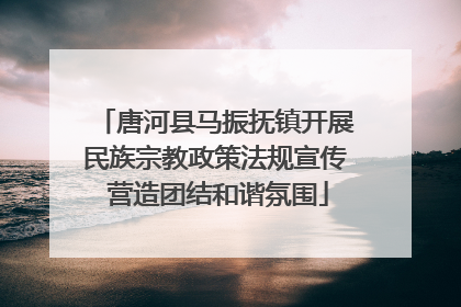 唐河县马振抚镇开展民族宗教政策法规宣传 营造团结和谐氛围