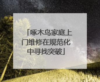 啄木鸟家庭上门维修在规范化中寻找突破
