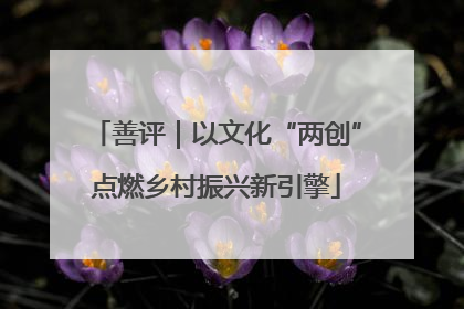 善评｜以文化“两创”点燃乡村振兴新引擎