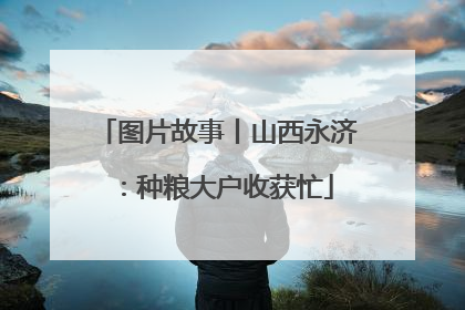 图片故事丨山西永济：种粮大户收获忙