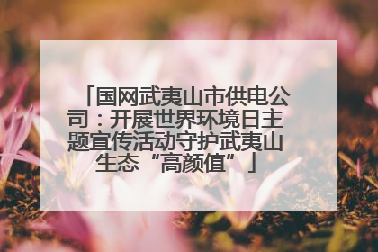 国网武夷山市供电公司：开展世界环境日主题宣传活动守护武夷山生态“高颜值”
