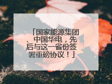 国家能源集团、中国华电，先后与这一省份签署重磅协议！