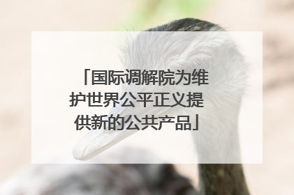 国际调解院为维护世界公平正义提供新的公共产品
