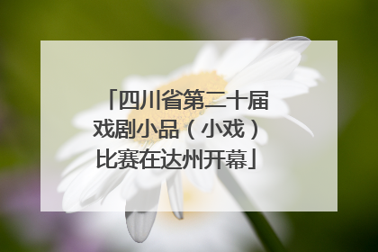 四川省第二十届戏剧小品（小戏）比赛在达州开幕