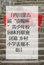 四川第五届“贡嘎杯”青少年校园体育联赛闭幕 乡村小学表现不俗