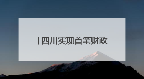 四川实现首笔财政电子票据跨省报销