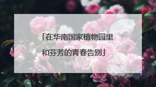 在华南国家植物园里和芬芳的青春告别
