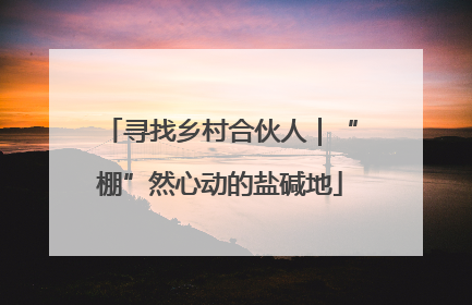 寻找乡村合伙人｜“棚”然心动的盐碱地