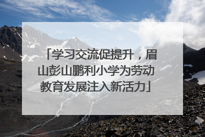 学习交流促提升，眉山彭山鹏利小学为劳动教育发展注入新活力