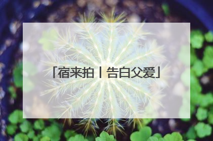 宿来拍丨告白父爱