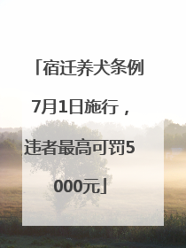 宿迁养犬条例7月1日施行，违者最高可罚5000元