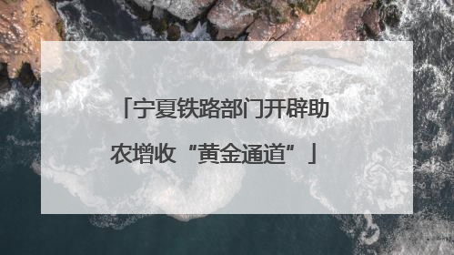 宁夏铁路部门开辟助农增收“黄金通道”