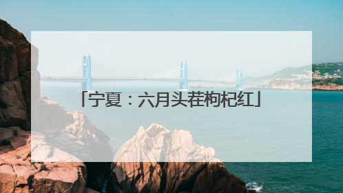 宁夏：六月头茬枸杞红
