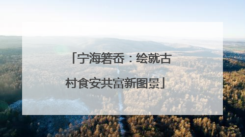 宁海箬岙：绘就古村食安共富新图景