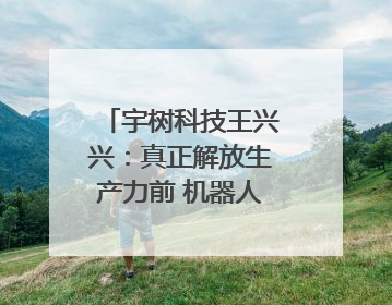 宇树科技王兴兴：真正解放生产力前 机器人格斗会成为全球受欢迎的赛事｜科技观察