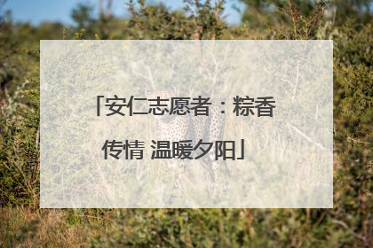 安仁志愿者：粽香传情 温暖夕阳