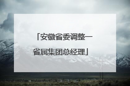 安徽省委调整一省属集团总经理