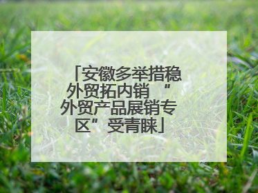 安徽多举措稳外贸拓内销 “外贸产品展销专区”受青睐