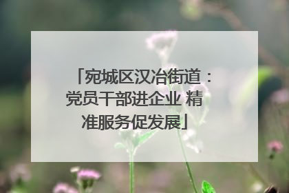 宛城区汉冶街道：党员干部进企业 精准服务促发展