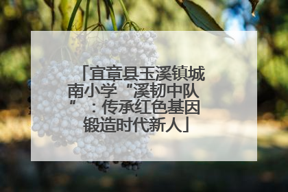 宜章县玉溪镇城南小学“溪韧中队”：传承红色基因 锻造时代新人