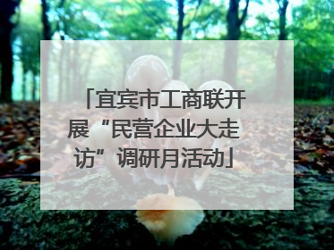 宜宾市工商联开展“民营企业大走访”调研月活动