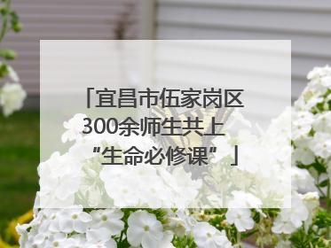 宜昌市伍家岗区300余师生共上“生命必修课”