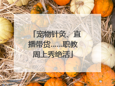 宠物针灸、直播带货……职教周上秀绝活