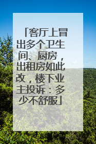 客厅上冒出多个卫生间、厨房，出租房如此改，楼下业主投诉：多少不舒服