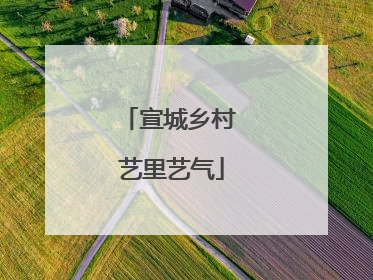 宣城乡村 艺里艺气