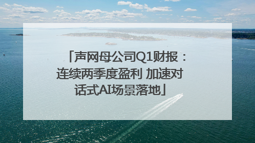 声网母公司Q1财报：连续两季度盈利 加速对话式AI场景落地