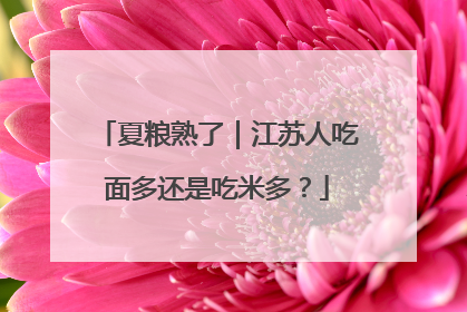 夏粮熟了｜江苏人吃面多还是吃米多？