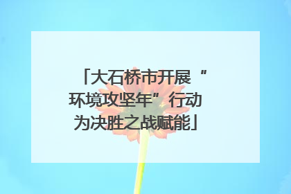 大石桥市开展“环境攻坚年”行动为决胜之战赋能