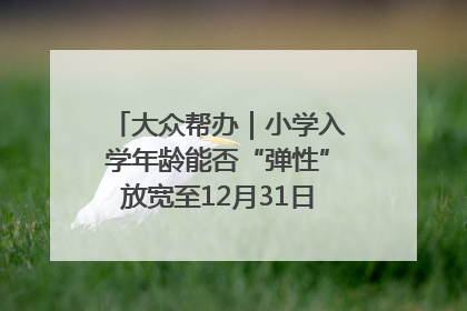 大众帮办｜小学入学年龄能否“弹性”放宽至12月31日？有地方已在探索