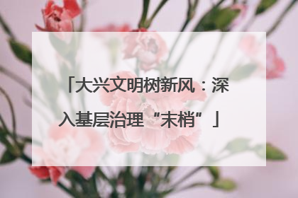 大兴文明树新风：深入基层治理“末梢”