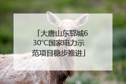 大唐山东郓城630℃国家电力示范项目稳步推进