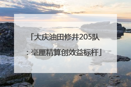 大庆油田修井205队：毫厘精算创效益标杆