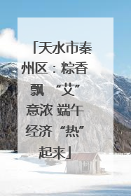天水市秦州区：粽香飘 “艾”意浓 端午经济“热”起来