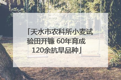 天水市农科所小麦试验田开镰 60年育成120余抗旱品种