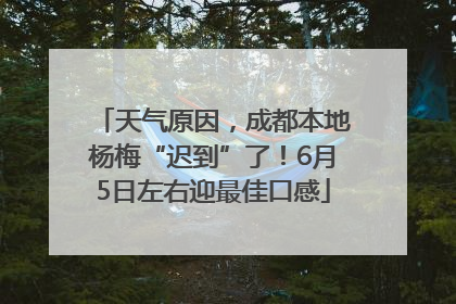 天气原因，成都本地杨梅“迟到”了！6月5日左右迎最佳口感