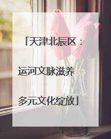 天津北辰区：运河文脉滋养 多元文化绽放