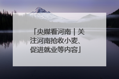 央媒看河南｜关注河南抢收小麦、促进就业等内容