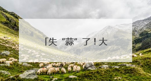 失“蒜”了！大爷一觉起来，自家种的蒜没了