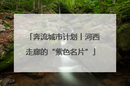 奔流城市计划丨河西走廊的“紫色名片”