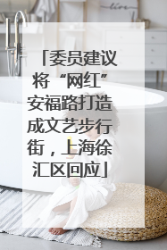委员建议将“网红”安福路打造成文艺步行街，上海徐汇区回应